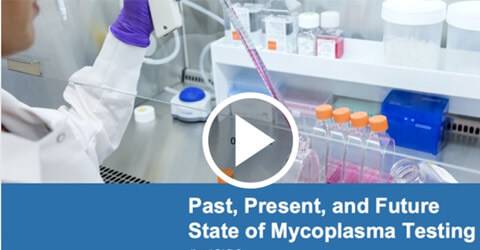 Mycoplasma testing webinar