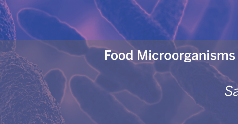 MOL0072107_Microorganisms-Library_Salmonella_Final-1.png