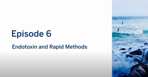 vodcast 6 Endotoxin and Rapid Methods