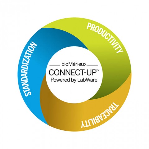 CONNECT-UP IT SOLUTION