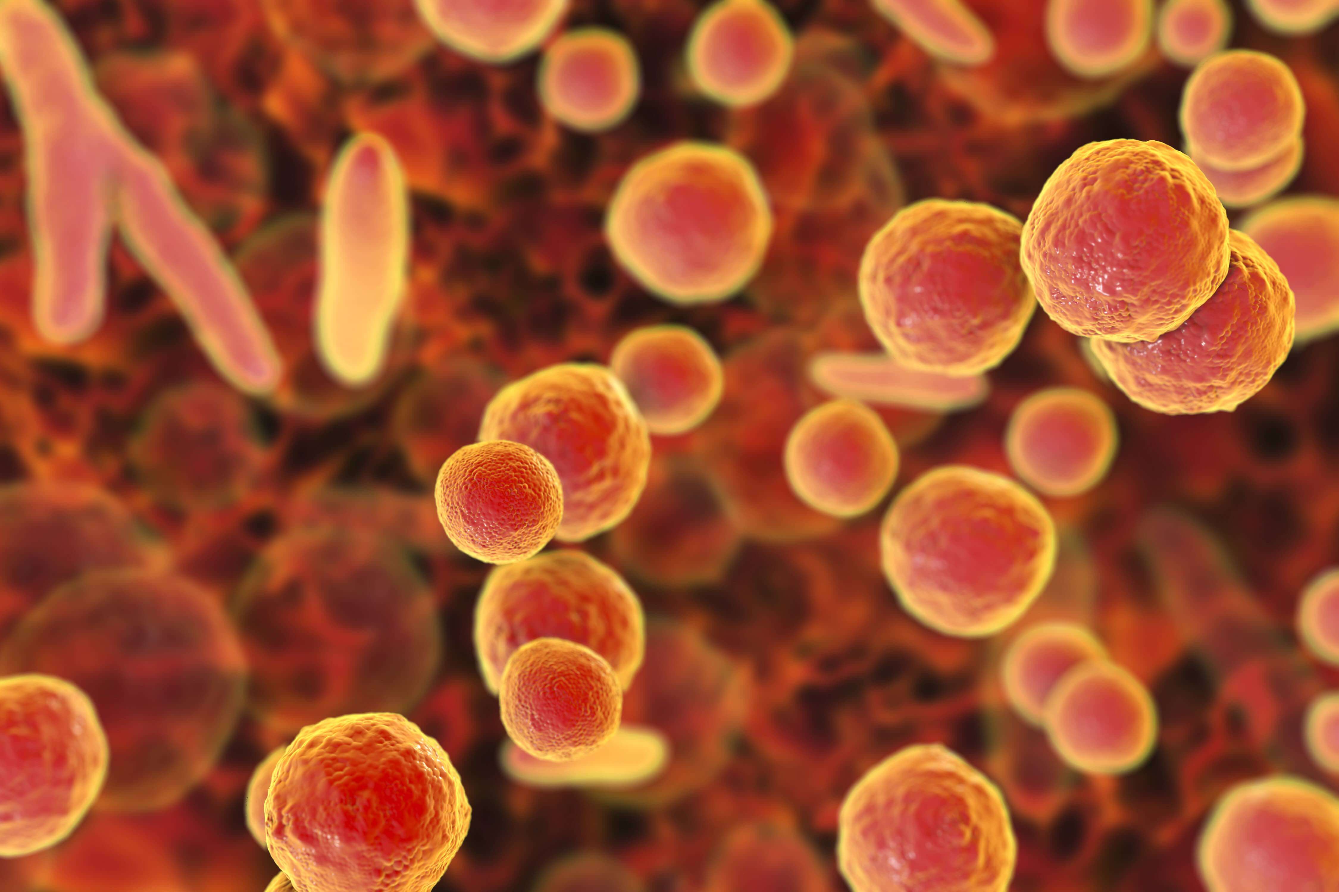 Mycoplasma.jpg