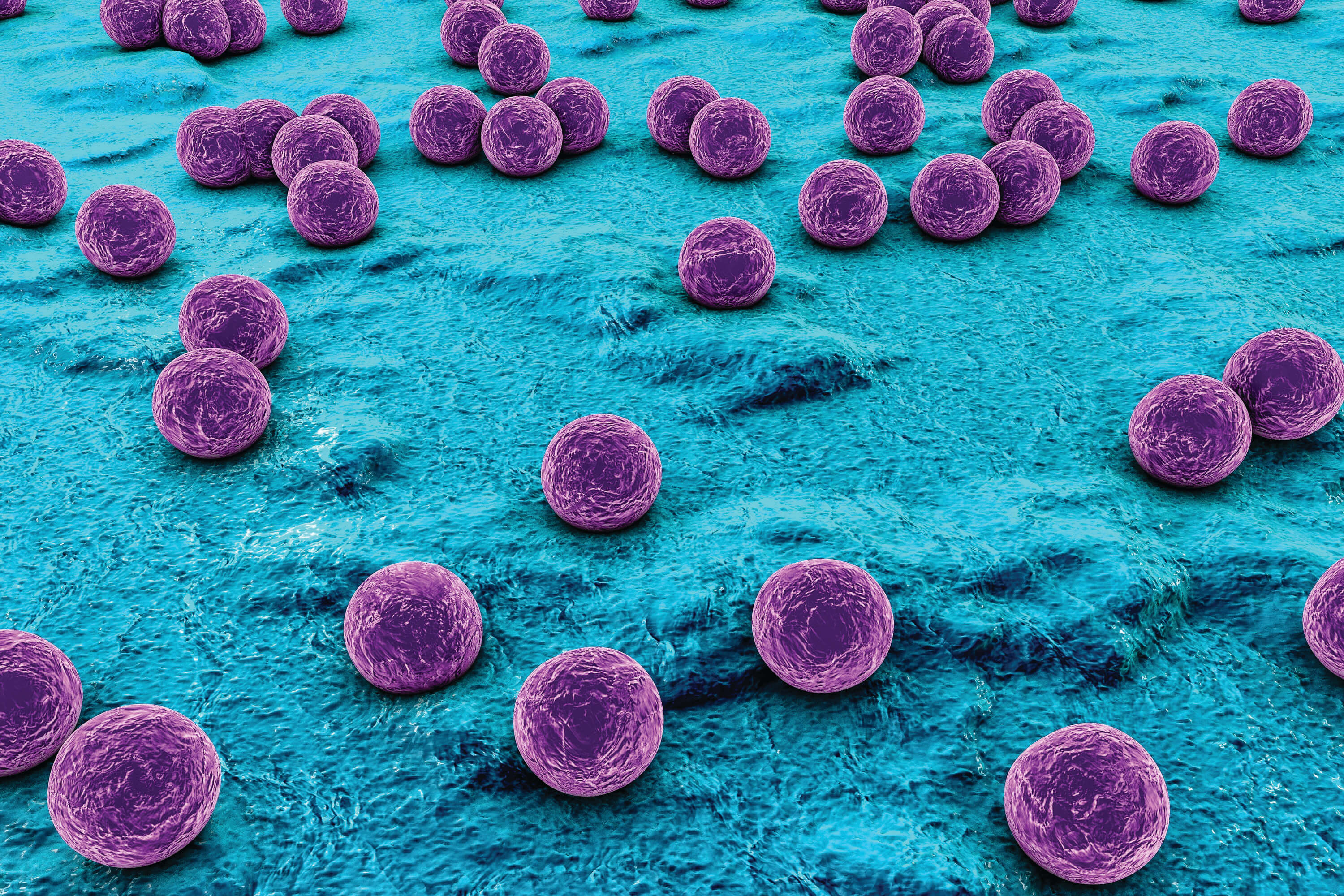 sterile_science-staphylococcus_01.jpg