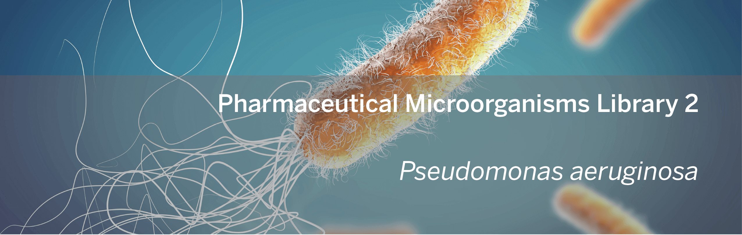 MOL0022005_Microorganisms Library_Pseudomonas_Final_website_banner.png