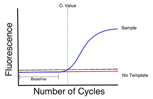 Real-time PCR