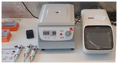 VERIFLOW PCR Beer Spoilage Detection