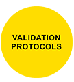 Validation Protocols Pharma Services