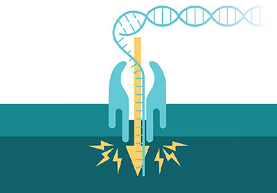 3nd generation sequencing techniques