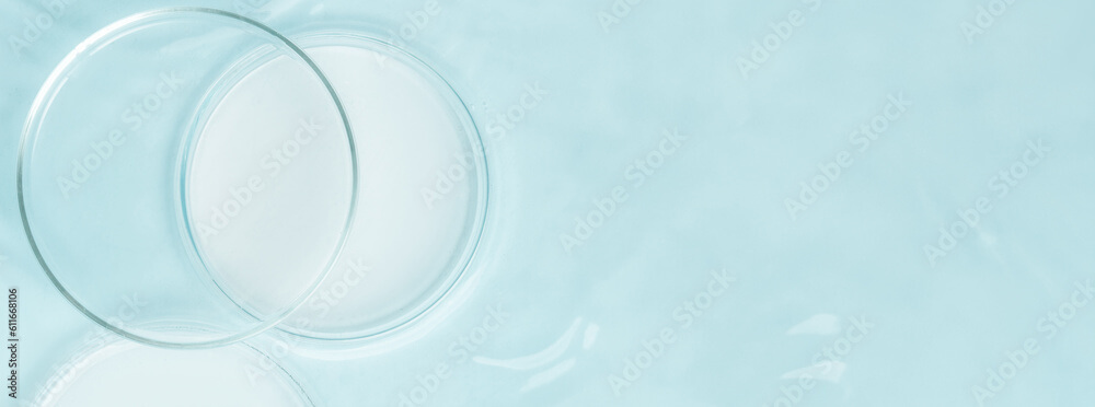AdobeStock_611668106_Preview.jpeg