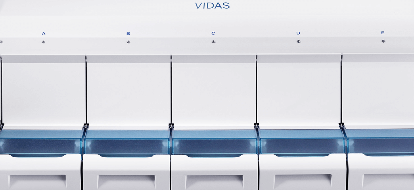VIDAS-PERFORM.png