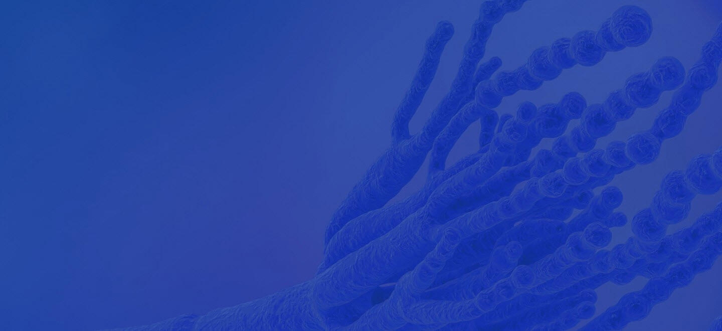 Bacteria