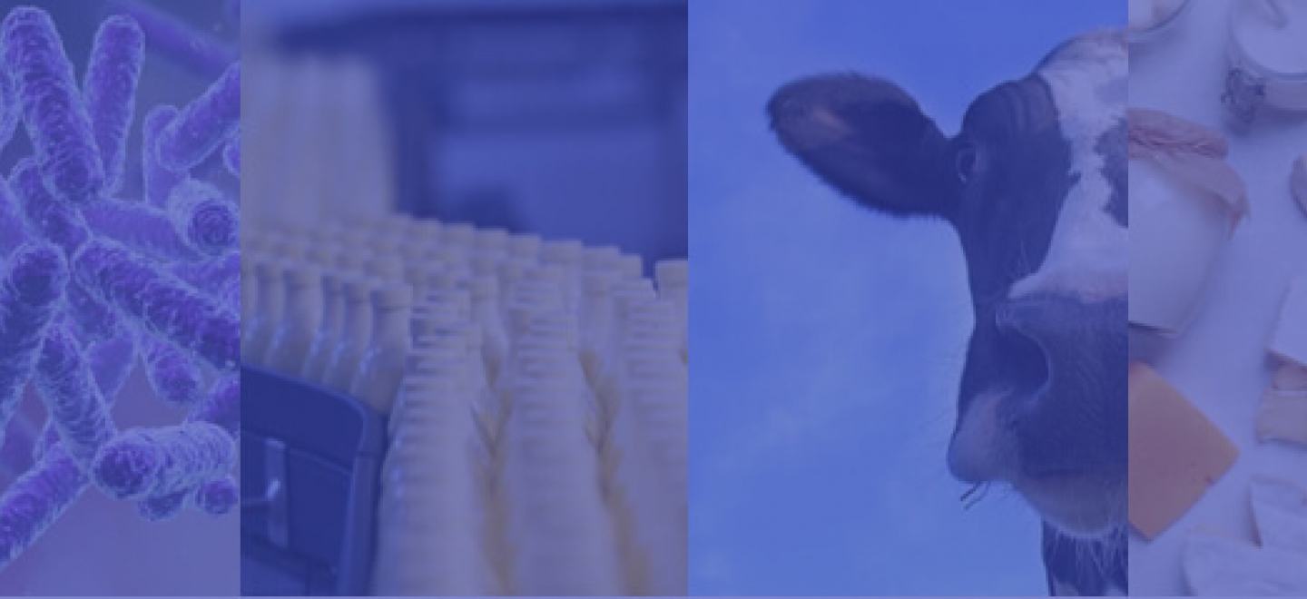 HEADER EVENT.jpg