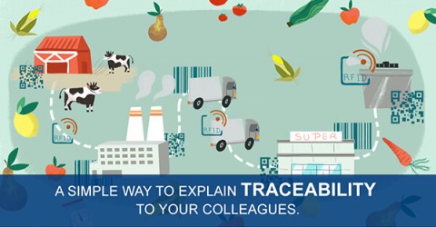 infography-traceability