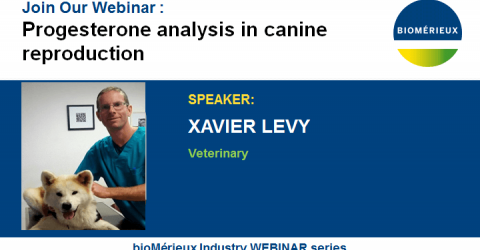 WEBINAR-PROGESTERONE-LEVY-BIOMERIEUX-VETERINARY