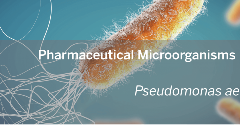 MOL0022005_Microorganisms Library_Pseudomonas_Final_website_banner.png