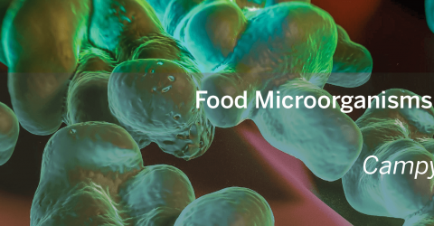 MOL0032005_Microorganisms Library_Campylobacter_banner.png