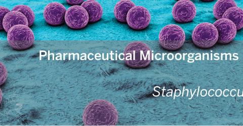 MOL0042006_Microorganisms Library_Staphylococcus aureus_Final_banner.png