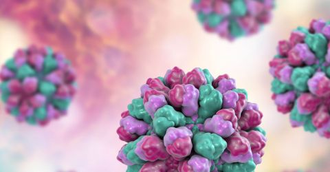 Food -borne virus detection