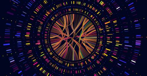 Whole Genome Sequencing WGS