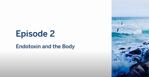 vodcast 2 endotoxin and body