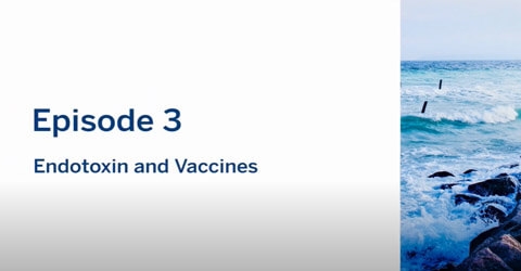 vodcast 3 Endotoxin & Vaccines