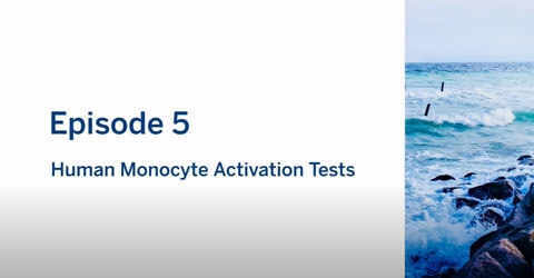 vodcast 5 Human Monocyte Activation Tests
