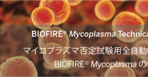 Q550022205_Technical Note_BIOFIRE Mycoplasma 1_banner.png
