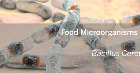 MOL0072107_Microorganisms Library_Bacillus cereus group_banner.png