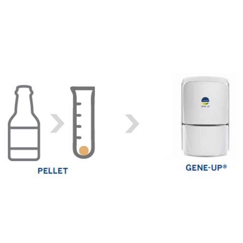 GENE-UP BREW solution