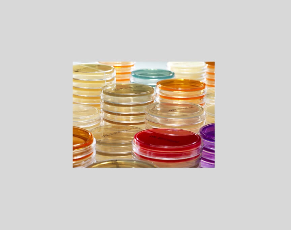 Culture Media Product - bioMérieux