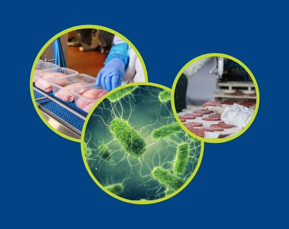 Chicken, Salmonella, and Beef