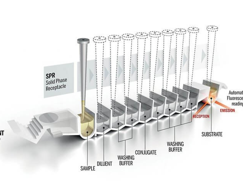 VIDAS KUBE automated food pathogens detection princip.jpg